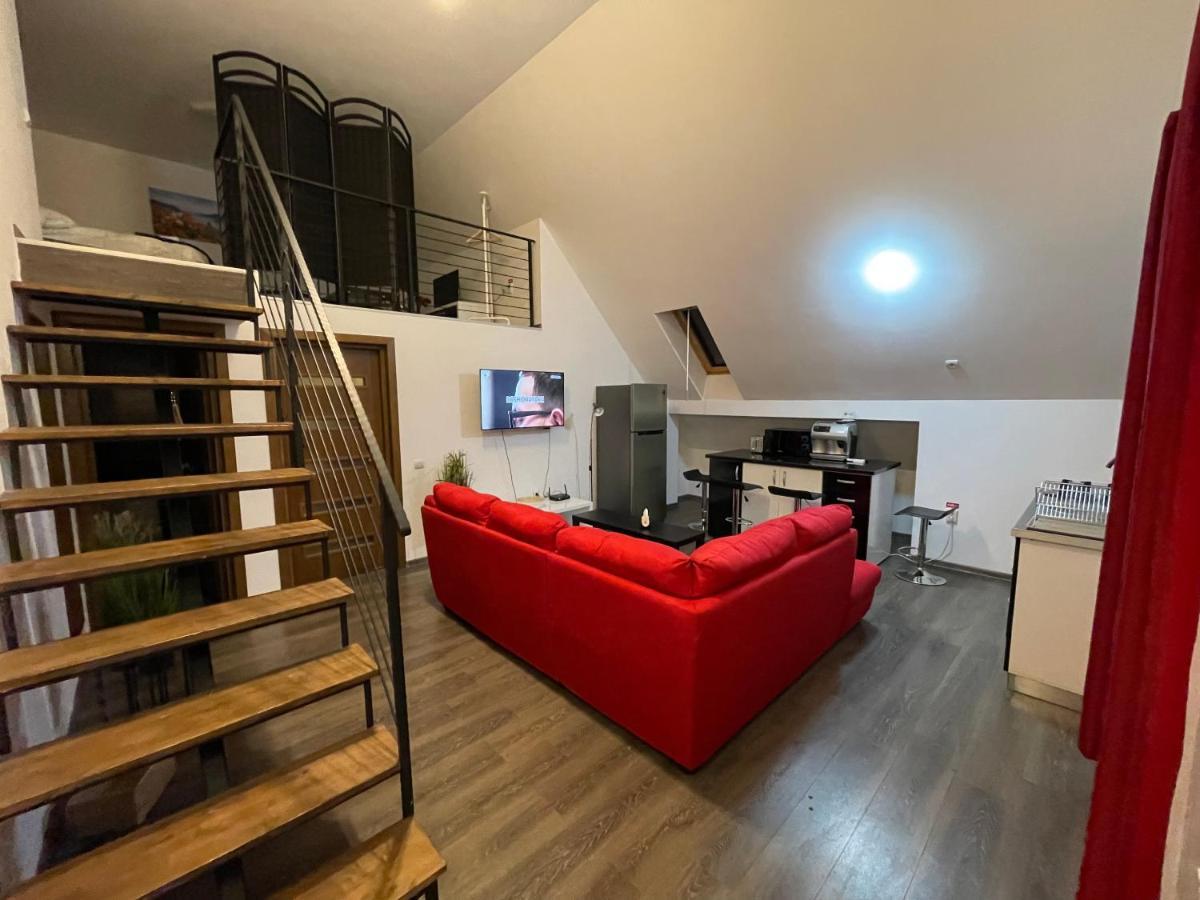 Apartment Dragos Penthouse *